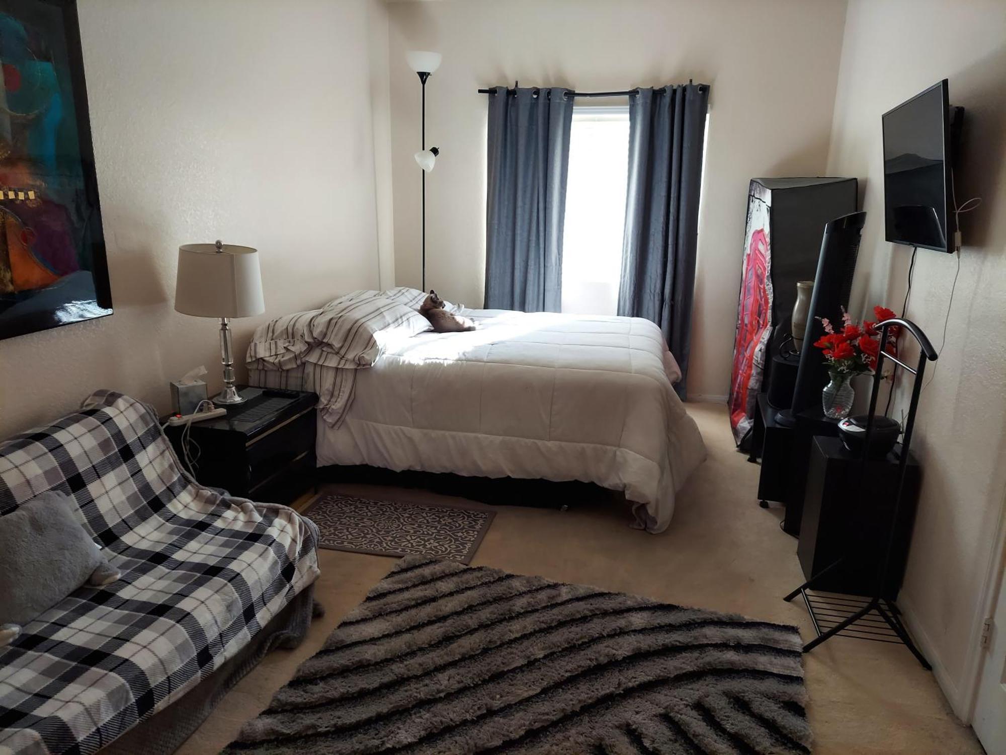 Catmosphere Las Vegas Room photo