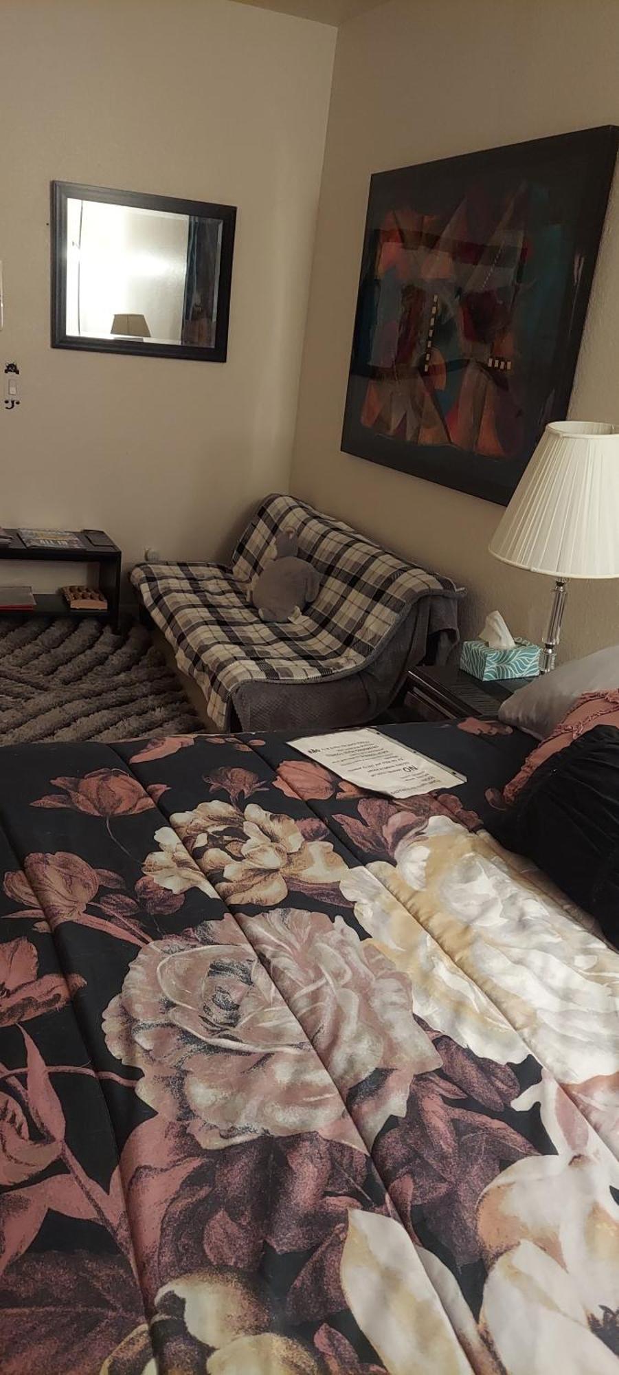 Catmosphere Las Vegas Room photo